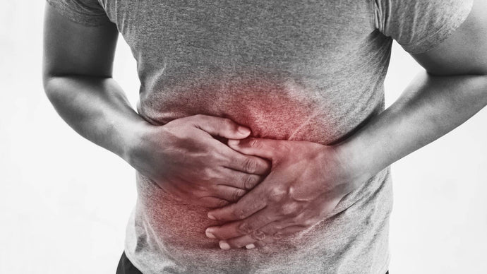 Gut Decision Synbiotic Fights Belly Bloat