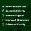 Daily Offense - Nitric Oxide & Energy Boost Plus Multivitamin